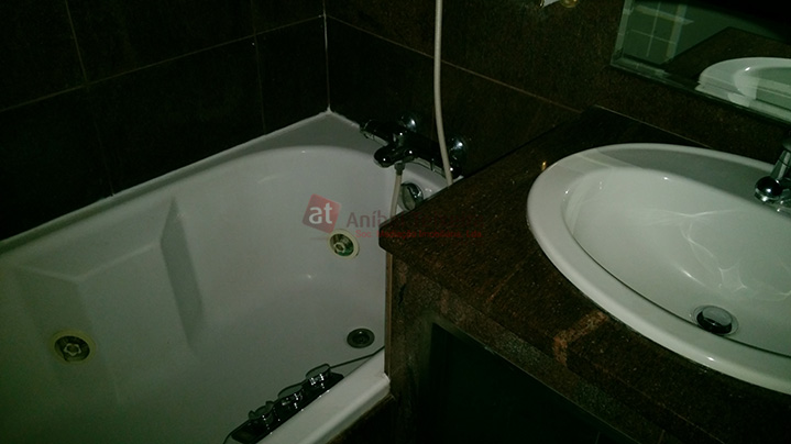{{alt}}